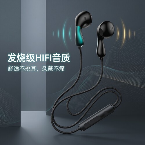 有线耳机入耳高音质圆孔K歌游戏Typec带麦适用于华为OPPO小米vivo