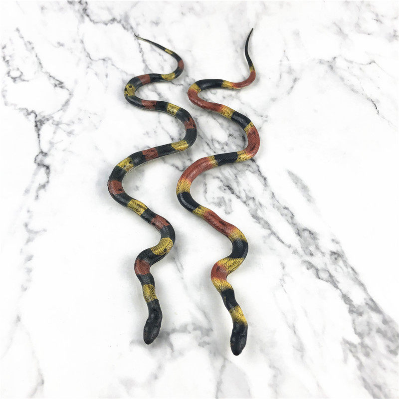 어린이를위한 미국 AAA 3A 시뮬레이션 야생 냉혈 동물 모델 독사 연체 동물 모델