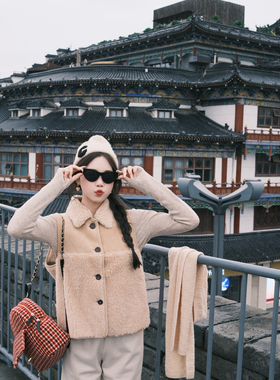 FFLU25/10/20 实用派！100%羊毛拼色麂皮小翻领羊羔毛马甲背心