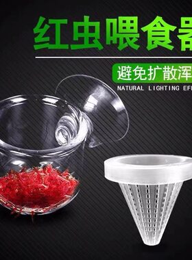 红虫喂食器红虫玻璃杯漏斗投食圈线虫杯喂鱼线虫丰年虾鱼缸造景杯
