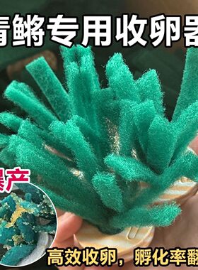 观背青鳉纯手工鱼卵收卵器漂浮挂卵神器专用鱼卵多颜色收集取卵器