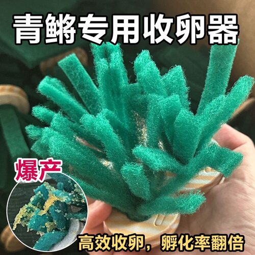 观背青鳉纯手工鱼卵收卵器漂浮挂卵神器专用鱼卵多颜色收集取卵器