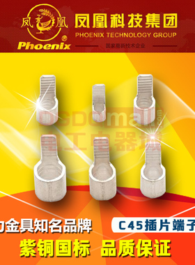 凤凰C45-2.5国标平方插片形接线端子IT插片紫铜焊口鼻子1000只