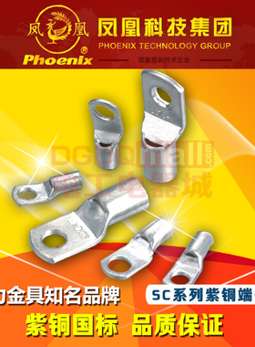 SC300-12/14/16/20凤凰国标A级300窥口JGK铜鼻子引进紫铜线耳端子