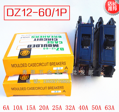 1P过载短路保护小型断路器DZ12-60 银点25A32A40A50A63A老型