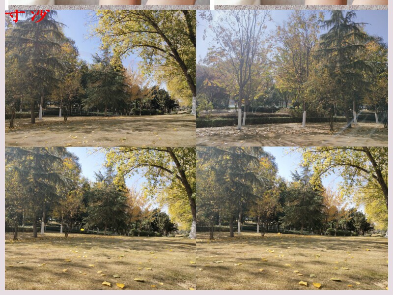 袜子船头袜子女半包袜细带薄款短袜丝袜截带包单打底袜美腿袜