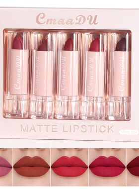 5pcs Lipstick Set Lip Gloss Matte velvet Moisturizing hydrat
