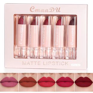 5pcs Lipstick Set Lip Gloss Matte velvet Moisturizing hydrat