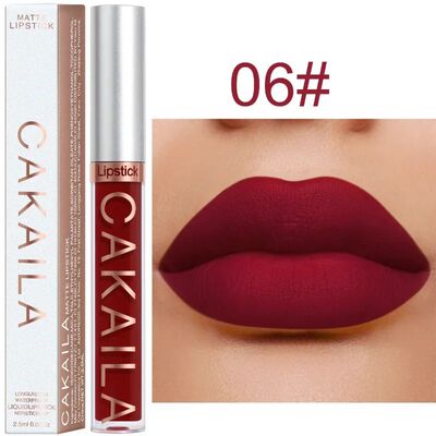 1PC Velvet Matte Lipstick Lip Gloss Light Red Liquid Lip Tin