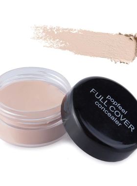 Full Coverage Concealer Makeup Waterproof Matte Smooth Conce