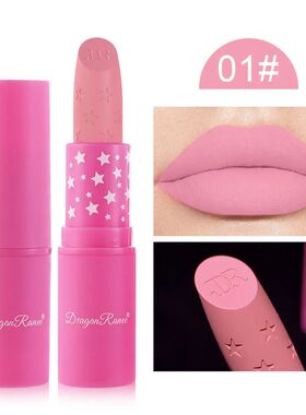 Nude Pink Lipstick Stick Waterproof Sexy Rose Red Velvet Mat