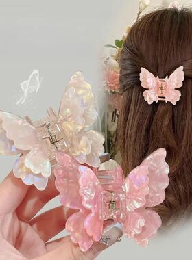 French Retro Butterfly Hair Clips Back Of The Head Hair Claw