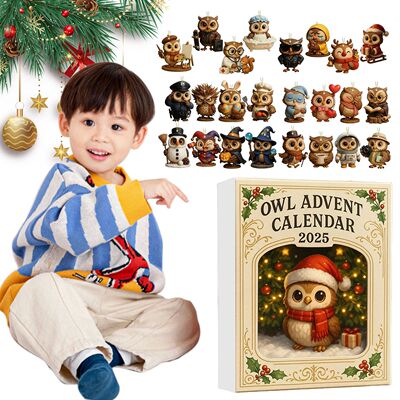 Owl 24 Days Christmas Countdown Calendar with 2D Flat Acryli