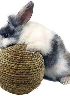 Pet Toys 6cm Rabbit Chewing Pet Chew Natural Grass Ball For