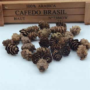 50pcs Nuts Fruit Veg Pine Fake Mini Cheap Natural Artificial