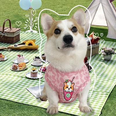 柯基纯棉背心防掉毛衣服