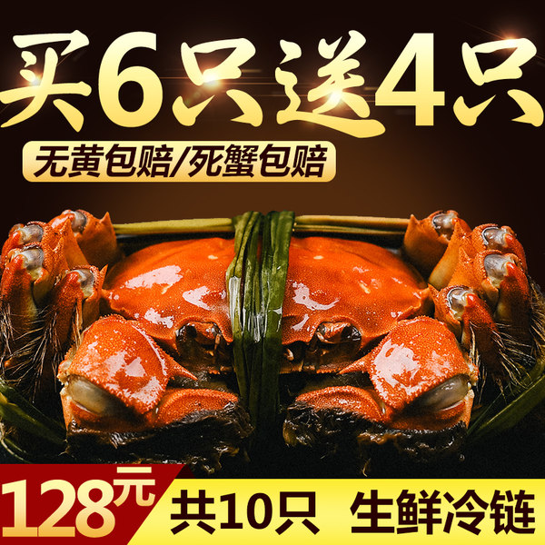 湖中醉 大闸蟹 6母4公 1.5两-1.9两/只 优惠券折后￥68包邮（￥128-60）
