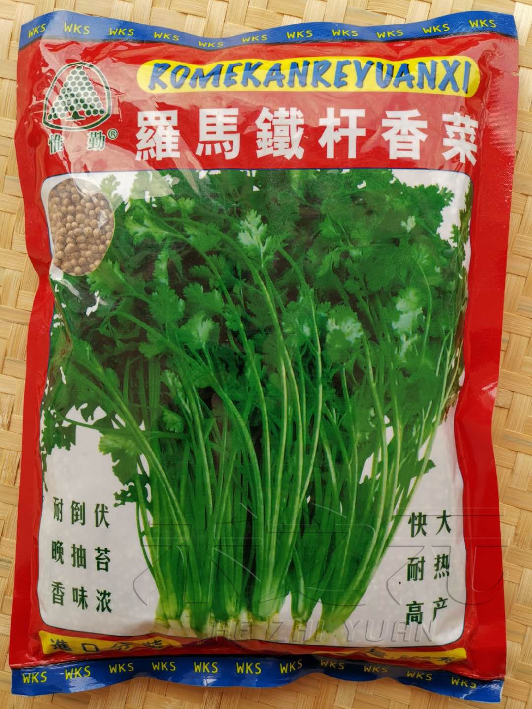 香菜种子大全农家香菜盆栽苗大叶芫荽种四季食用香菜籽种蔬菜种籽
