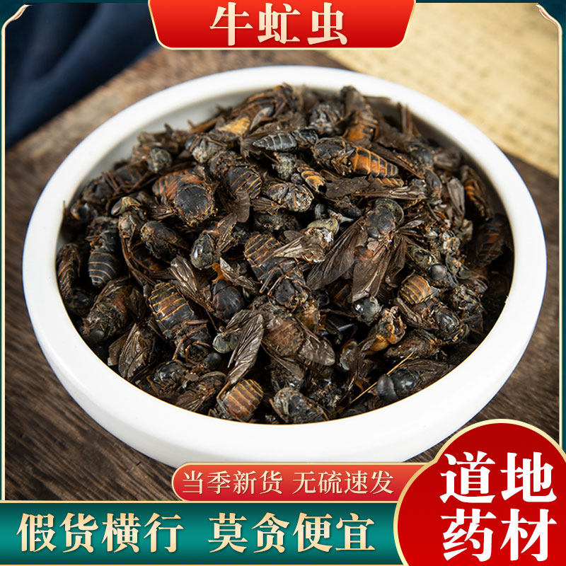 中药材牛虻虫500g克包邮 虻虫 牛虻 牛蚊子 牛苍蝇瞎虻虫牛虻干