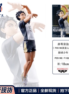 现货正版 眼镜厂排球少年英姿人偶POSING FIGURE赤苇京治手办景品