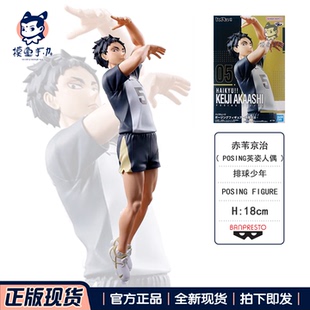 现货正版 眼镜厂排球少年英姿人偶POSING FIGURE赤苇京治手办景品