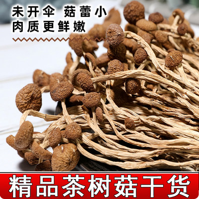 2023年古田农家茶树菇特级不开伞新鲜500g茶薪菇干货香菇蘑菇袋装