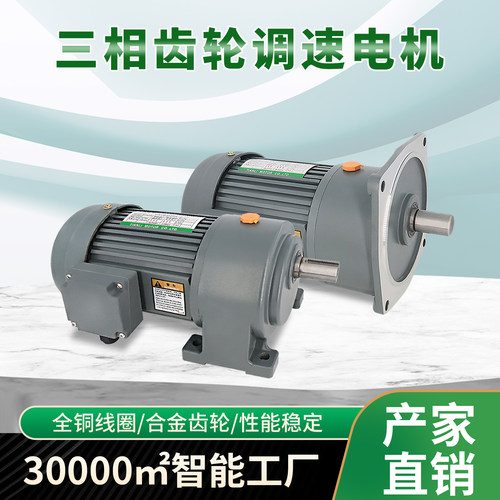 三相齿轮减速电机380V变频调速