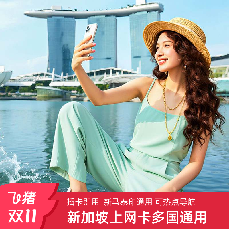 新加坡4G电话卡