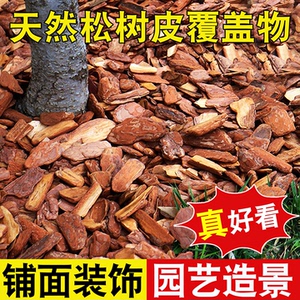 有机覆盖物松鳞树皮保湿透气