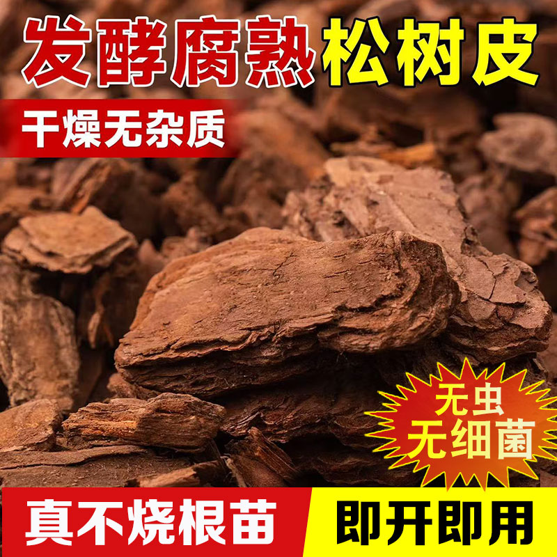 腐熟松树皮松鳞兰科介质