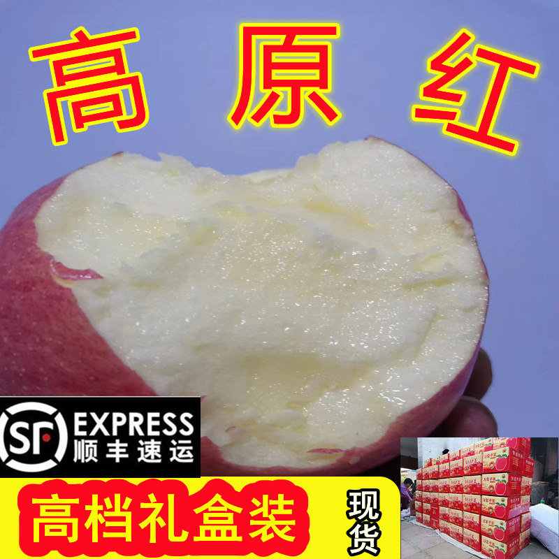 山西临猗85苹果脆甜红富士新品