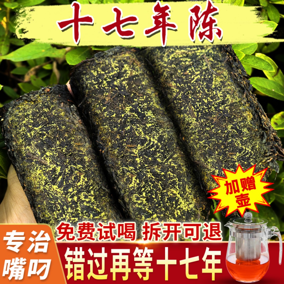 十六年陈安化黑茶金花爆满送礼包