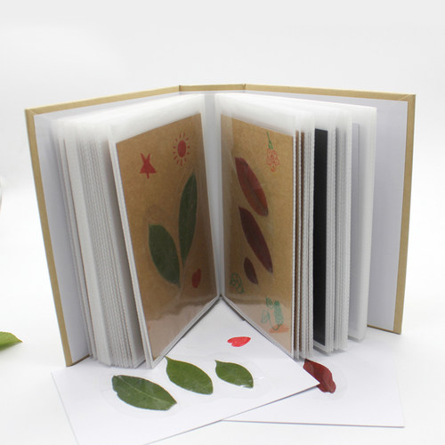 树叶标本册植物风景画手工制作