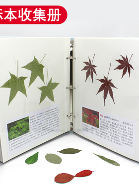 树叶标本册收集册自粘贴式覆膜干花压花材料植物DIY相册收藏盒子