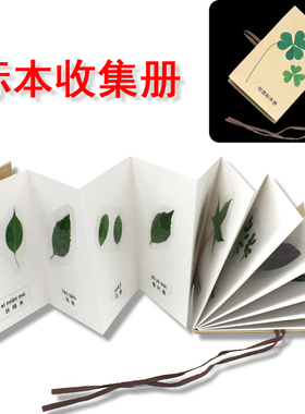 DIY手工创意植物标本收藏册树叶干花收集册小学生DIY手风琴折叠式