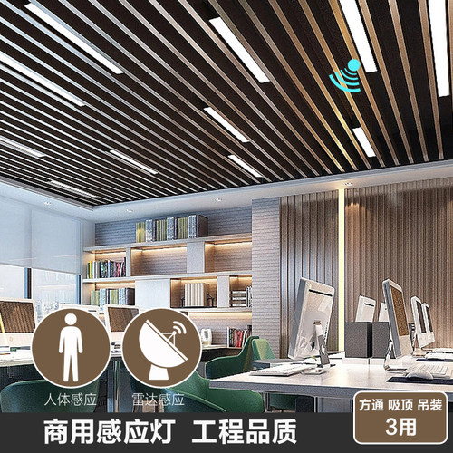 怀普方通灯铁框吊线灯可做感应