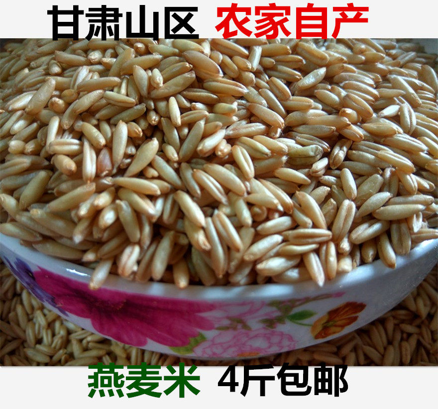 甘肃农家燕麦米25年新货 黄土高原燕麦粒燕麦仁 燕麦颗粒煮粥蒸饭