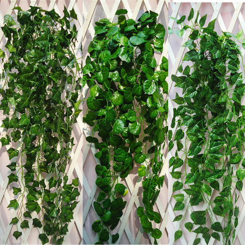 园艺吊顶常春藤藤蔓植物管道绿萝