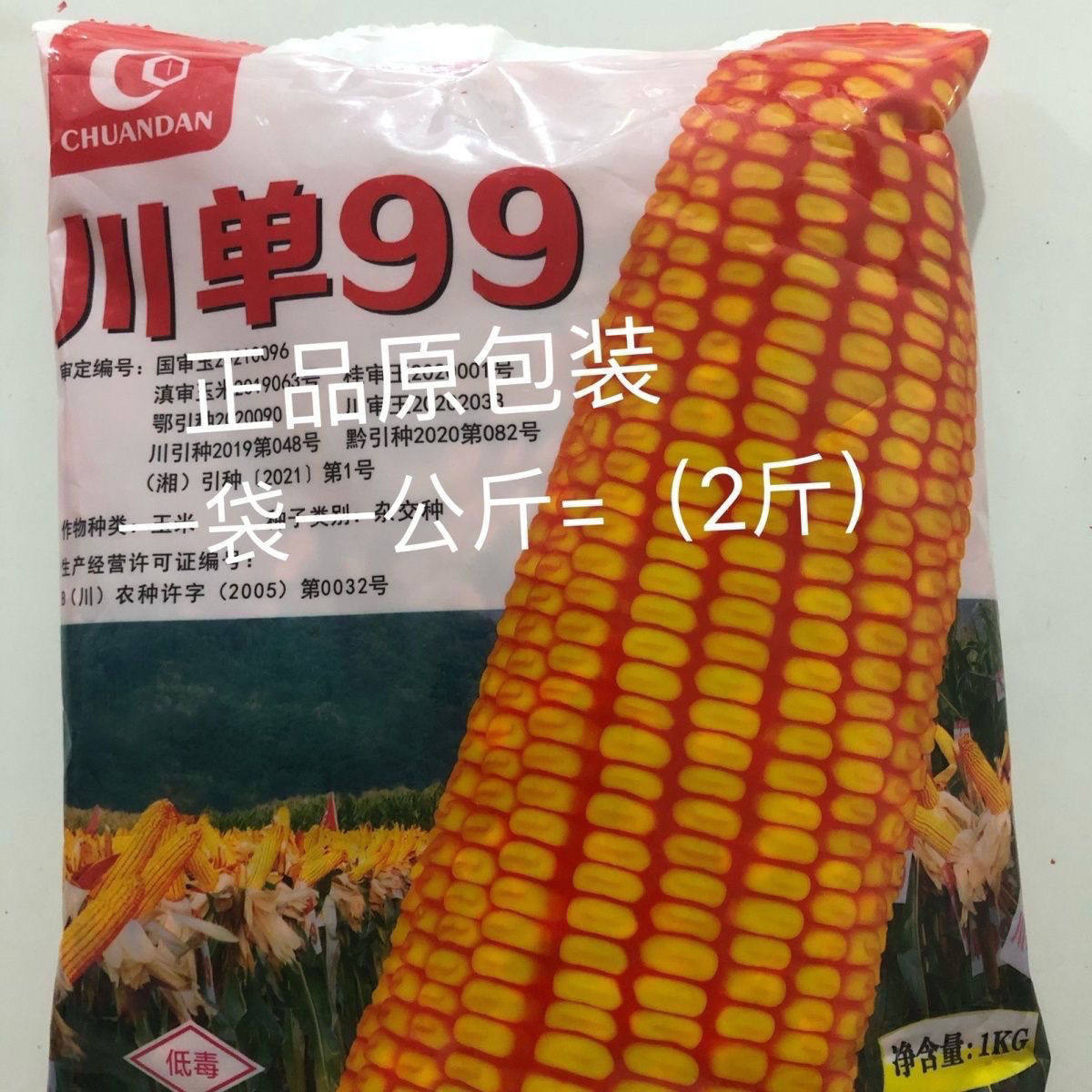 川单99玉米种子云贵川高产1公斤矮杆大棒抗病抗倒抗旱国审包邮