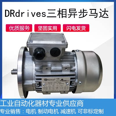 drdrives电机进口品牌电机