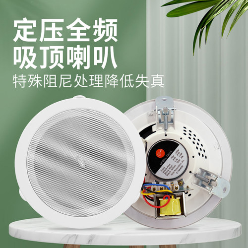 惠威td206背景音乐套餐吸顶喇叭