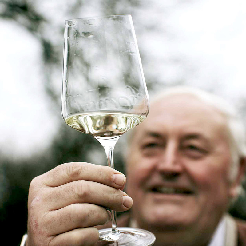 【顺丰包邮】扎尔图Zalto手工杯勃艮第杯波尔多香槟红酒杯通用杯|msdalam kategori pinggan mangkuk, Flagon/Wineglass/Wine, Wineglass - dari Buy2taobao.com untuk memberikan perkhidmatan ejen Taobao profesional membeli