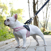 法斗狗绳宠物三角胸背带巴哥柯基雪纳瑞背心式 牵引绳中小型犬用品