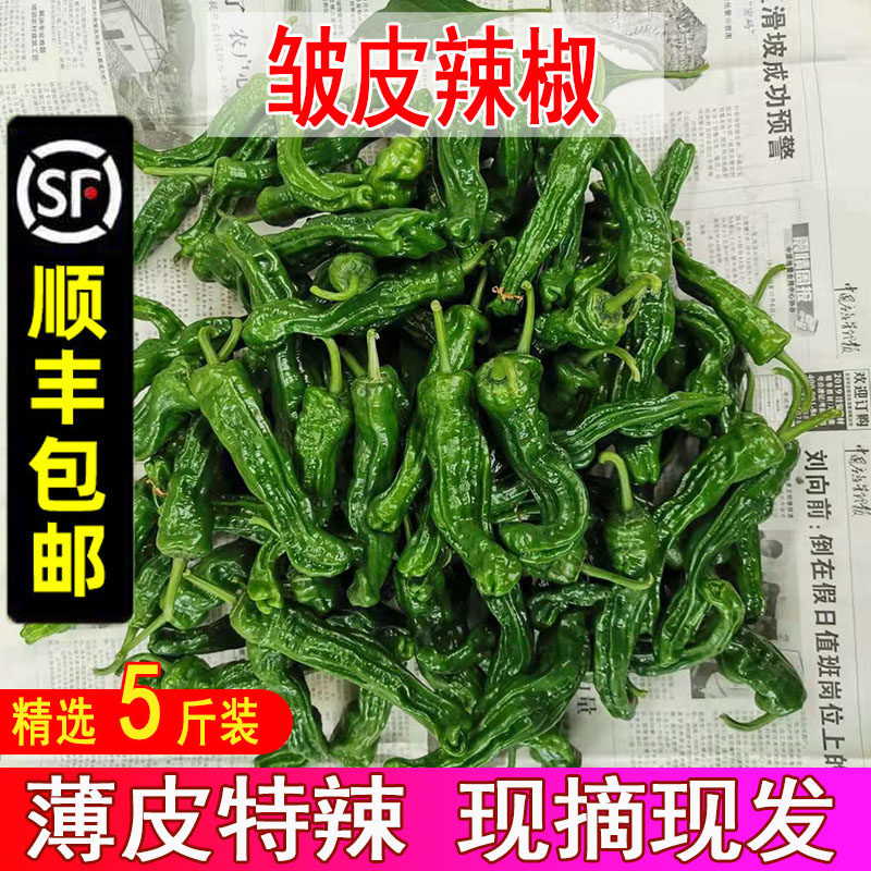 农家自种新鲜小皱皮特辣螺丝椒超辣皮薄虎皮土辣椒辣子鸡现摘5斤