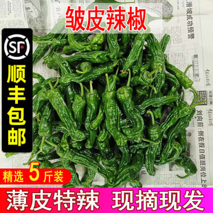 农家自种新鲜小皱皮特辣螺丝椒超辣皮薄虎皮土辣椒辣子鸡现摘5斤