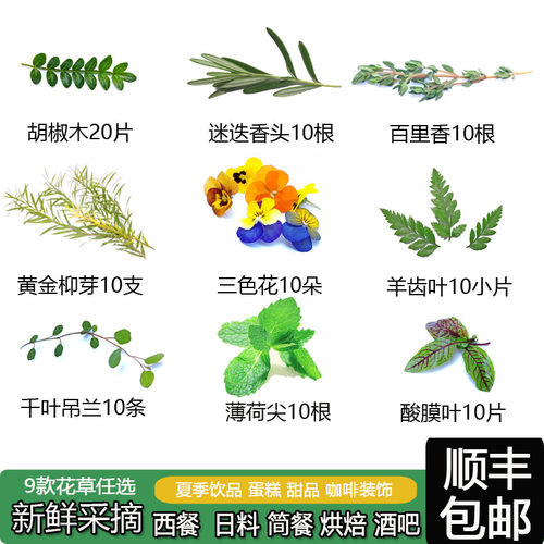 顺丰包邮到家新鲜直达