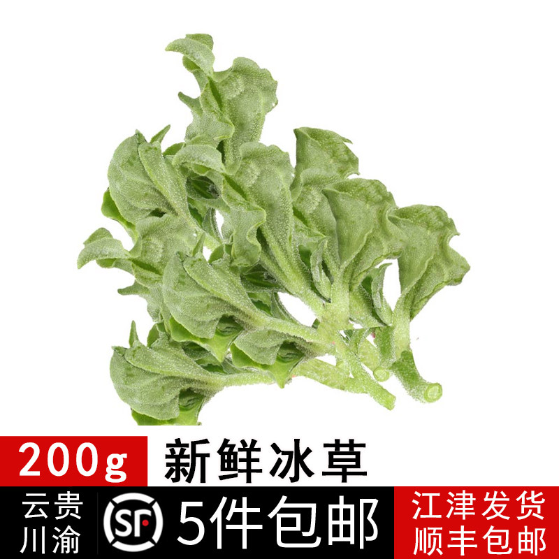 新鲜冰草200g顺丰非洲冰菜花冰叶火锅即食生吃沙拉菜新鲜蔬菜包邮