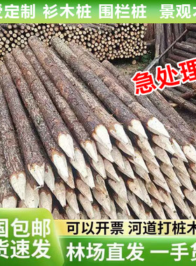 尖头杉木桩削尖可开发票量大优惠