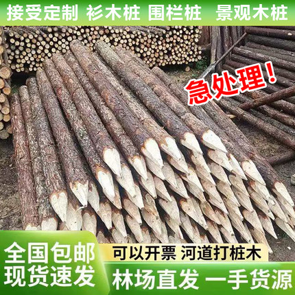 杉木桩尖头木桩户外河道工程打桩测量定点围栏原木头木棍杉木圆木