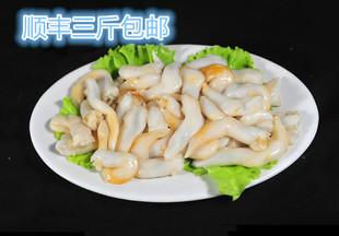 大连海鲜水产新鲜黄鸟贝肉鲜活鸟贝刺身冷冻鲜贝类肉野生刺身